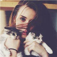 人抱猫头像大全