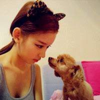 小哥哥抱猫头像