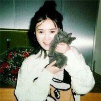 欧美霸气女生抱猫头像