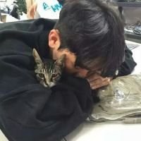 欧美霸气女生抱猫头像