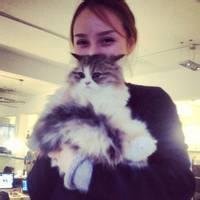 欧美男抱猫头像