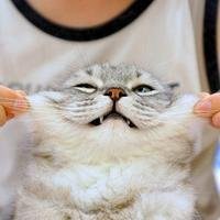 高清二次元抱猫头像