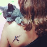 动漫男生抱着猫头像