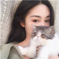 小哥哥抱猫头像