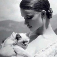 女生抱猫头像情侣头像个性网