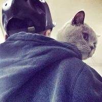 女生抱猫头像情侣头像个性网