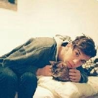 情侣抱猫头像动漫头像