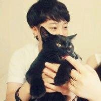 卡通少女抱猫头像唯美