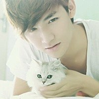 短发黑衣女生抱猫头像