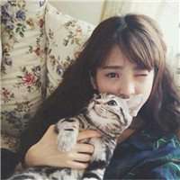 小孩子抱猫头像欧美