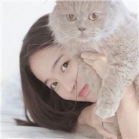 欧美女生抱猫头像复古