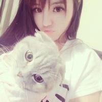 人抱猫头像大全