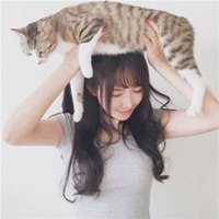 女生抱猫头像吧