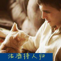 动漫抱白猫头像