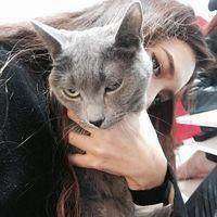 动漫抱白猫头像