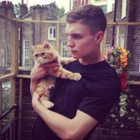 二次元女生抱猫头像