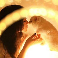 二次元女头抱猫头像