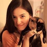 侧面男生抱猫头像背影