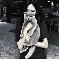 欧美范情侣抱猫头像