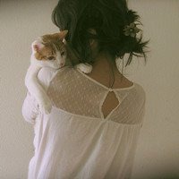 抱猫头像人性格分析