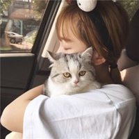 二次元抱猫头像