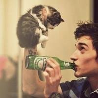 欧美男生抱英短猫头像