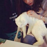 漂亮女生抱熊猫头像