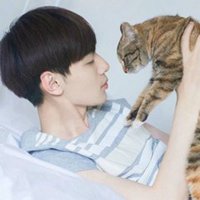 男躺着抱猫头像唯美