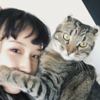 动漫男生抱着猫头像