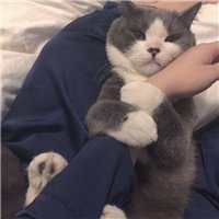 漂亮女生抱熊猫头像