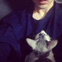 国外非主流抱猫头像