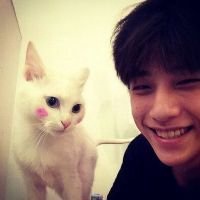 小孩抱猫头像卡通头像