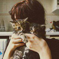 男生抱猫头像动漫头像个性网