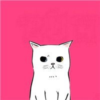二次元抱猫头像个性网
