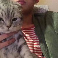 欧美女抱猫头像