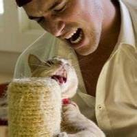 卡通少女抱猫头像唯美