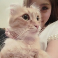 女生抱猫头像闺蜜两张