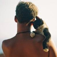 黑猫抱白猫头像