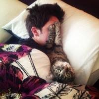 男生抱猫头像非主流