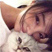 白衬衫纹身抱猫头像