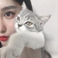 小女生抱猫头像