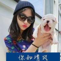 漫画抱着猫头像