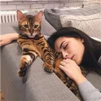 个性网女生抱猫头像