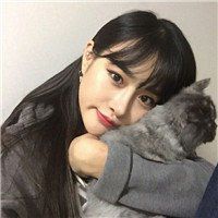 侧脸女孩抱猫头像动漫