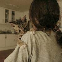 二次元女头抱猫头像