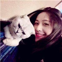 动漫短发女生抱猫头像个性网