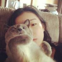 动漫女生抱着猫头像