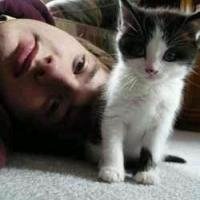 女躺着抱猫头像