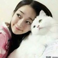 动漫男抱着一只猫头像