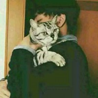 个性网女生抱猫头像